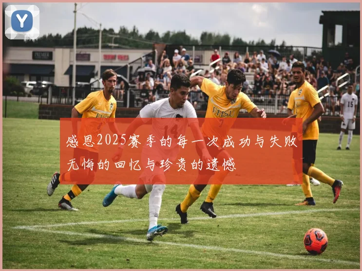 感恩2025赛季的每一次成功与失败无悔的回忆与珍贵的遗憾