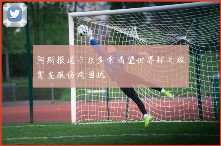 阿斯报道卡尔多索渴望世界杯之旅需克服伤病困扰