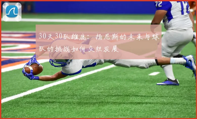 30天30队雄鹿：扬尼斯的未来与球队的挑战如何交织发展
