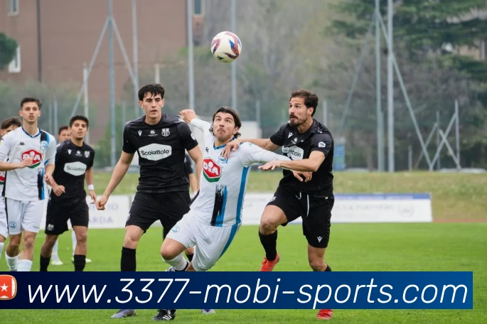 3377体育服务体系